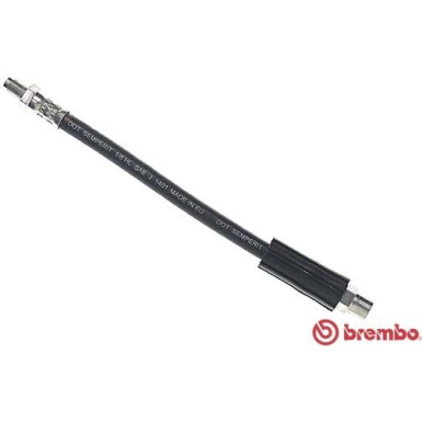 BREMBO Bremsschlauch | T 06 003