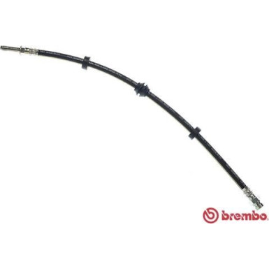 BREMBO Bremsschlauch | T 85 031