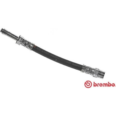 BREMBO Bremsschlauch | T 24 099