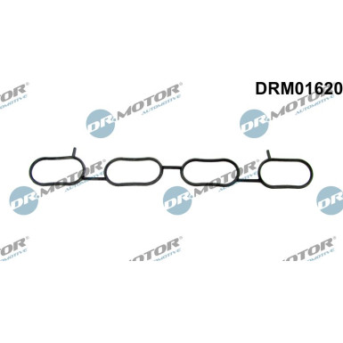 DR.MOTOR Dichtung, Ansaugkrümmer DRM01620