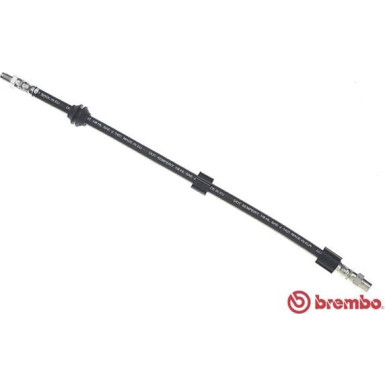 BREMBO Bremsschlauch | T 06 006