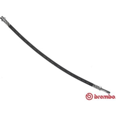 BREMBO Bremsschlauch | T 50 055