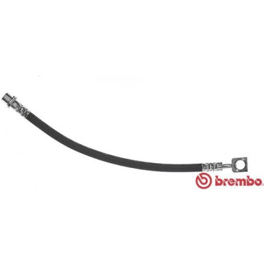 BREMBO Bremsschlauch | T 59 081