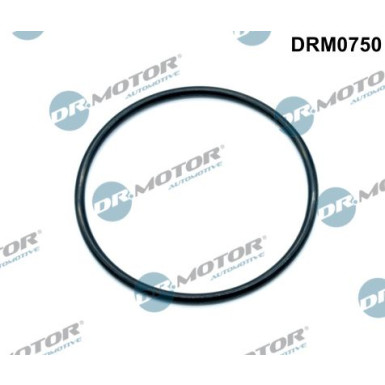 DR.MOTOR Dichtung, Ansaugkrümmer DRM0750