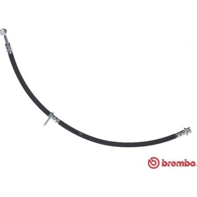 BREMBO Bremsschlauch | T 79 042