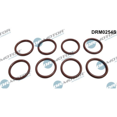 DR.MOTOR Dichtring, Sensorhalter DRM0254S