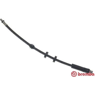 BREMBO Bremsschlauch | T 24 049