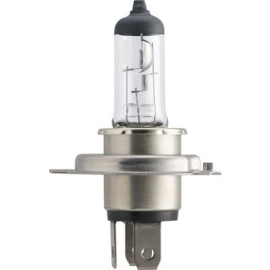 H4 Vision 12V 60/55W P43t-38 | 30% mehr Licht als Standard | 12342PRC1