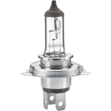 HELLA Glühlampe, Nebelscheinwerfer | 8GJ 002 525-251