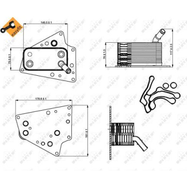 Ölkühler, Motor“L | 31258