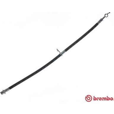 BREMBO Bremsschlauch | T 83 092