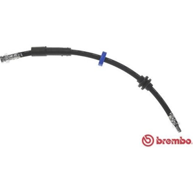 BREMBO Bremsschlauch | T 23 180