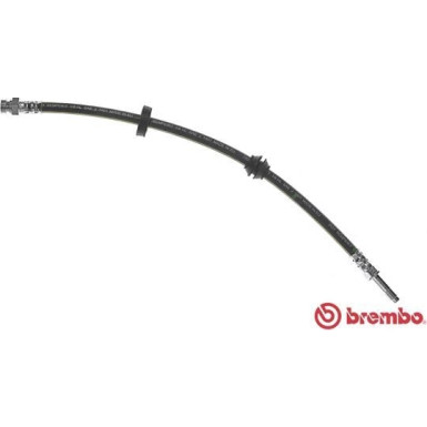 BREMBO Bremsschlauch | T 24 117