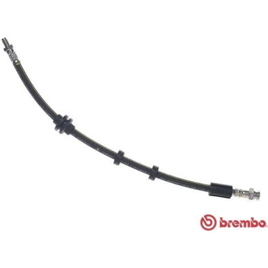 BREMBO Bremsschlauch | T 23 208