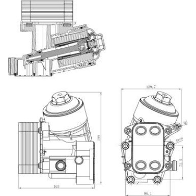 Ölkühler, Motor“L | 31847