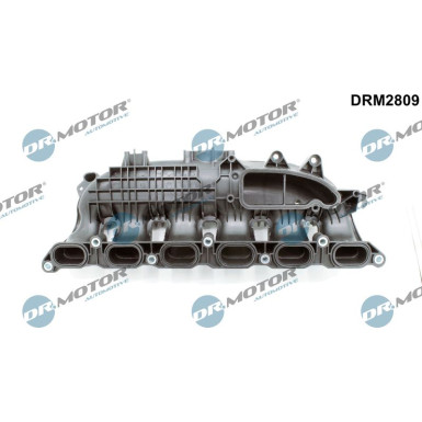 DR.MOTOR Saugrohrmodul DRM2809