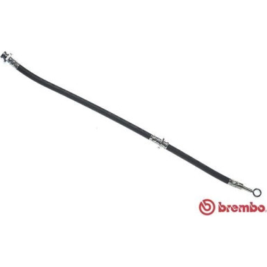 BREMBO Bremsschlauch | T 56 046