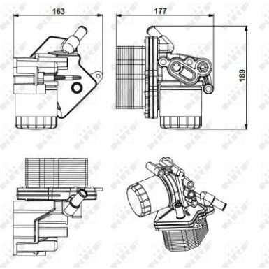 Ölkühler, Motor“L | 31238