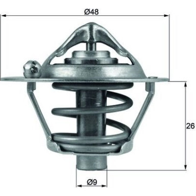 Thermostateinsatz mit Dichtung | FORD,VOLVO,MAZ,VOLVo 1.25-1.6i 03 | TX 108 82D