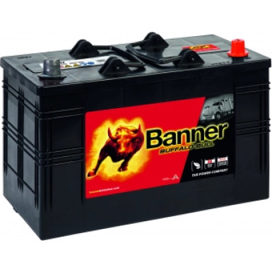 BANNER Buffalo Bull 12 V | wartungsfrei nach DIN | 10610470101