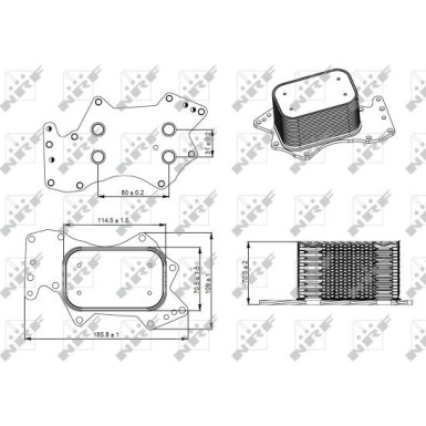 Ölkühler, Motor“L | 31273