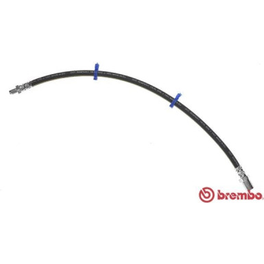 BREMBO Bremsschlauch | T A6 024