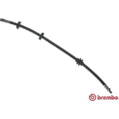 BREMBO Bremsschlauch | T 23 048