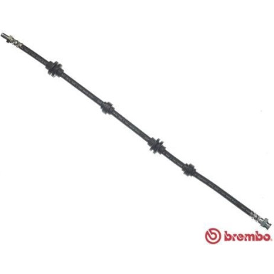 BREMBO Bremsschlauch | T 23 037