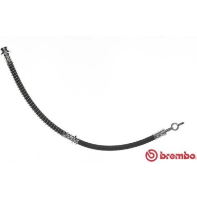 BREMBO Bremsschlauch | T 54 011