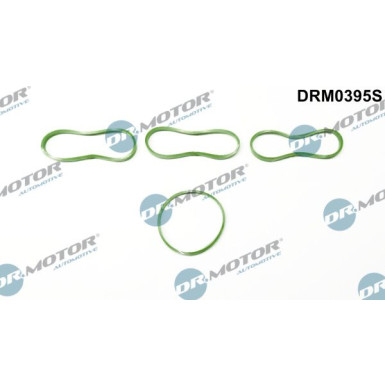 DR.MOTOR Dichtungssatz, Ansaugkrümmer DRM0395S