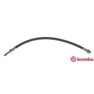 BREMBO Bremsschlauch | T 50 032