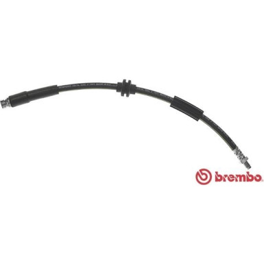 BREMBO Bremsschlauch | T 24 116