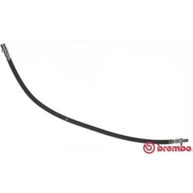 BREMBO Bremsschlauch | T 50 033