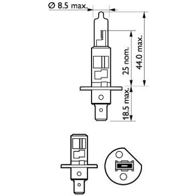 H1 12V 55W P14,5s LongLife EcoVision 2 St. Philips | 12258LLECOS2