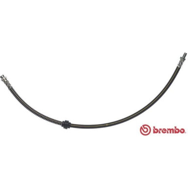 BREMBO Bremsschlauch | T 61 050