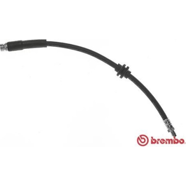 BREMBO Bremsschlauch | T 49 046