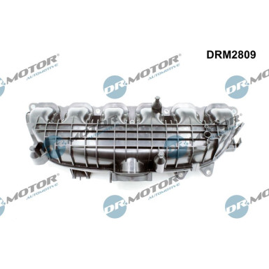 DR.MOTOR Saugrohrmodul DRM2809