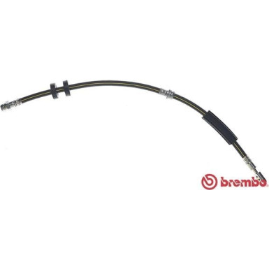 BREMBO Bremsschlauch | T 85 145