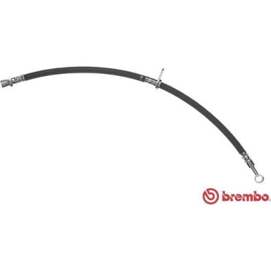 BREMBO Bremsschlauch | T 23 041