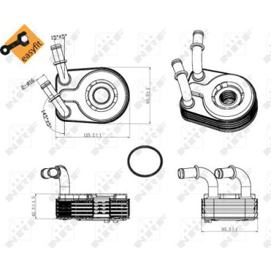 Ölkühler, Motor“L | 31321