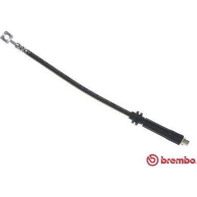 BREMBO Bremsschlauch | T 10 017