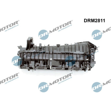 DR.MOTOR Saugrohrmodul DRM2811