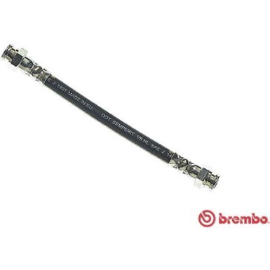 BREMBO Bremsschlauch | T 85 087