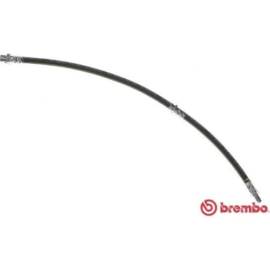 BREMBO Bremsschlauch | T 06 037