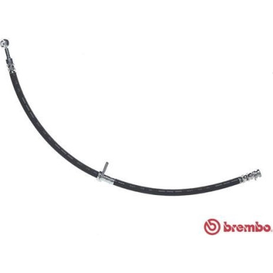 BREMBO Bremsschlauch | T 79 043