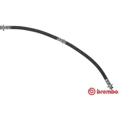 BREMBO Bremsschlauch | T 54 045