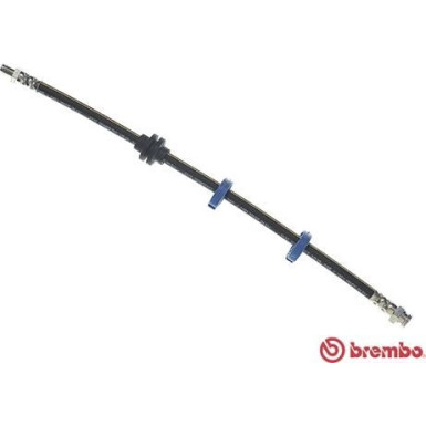 BREMBO Bremsschlauch | T 23 115