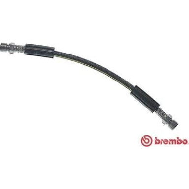 BREMBO Bremsschlauch | T 85 044