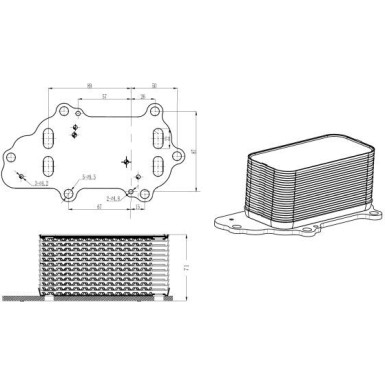 Ölkühler, Motor“L | 31848