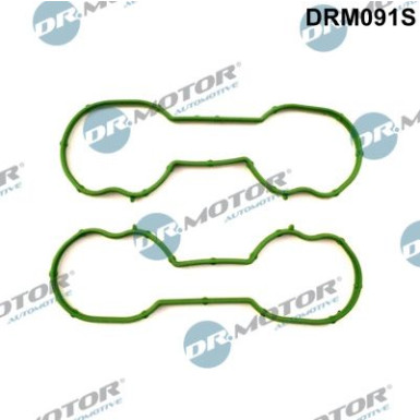 DR.MOTOR Dichtungssatz, Ansaugkrümmer DRM091S